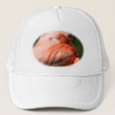 Search for bird lover hats Pink