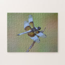Search for insect puzzles Dragonfly
