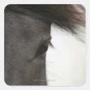 Search for closed eyes stickers Domestic animals