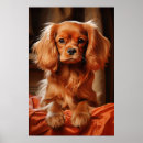Search for cavalier king charles spaniel posters Ruby