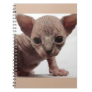 Search for ugly notebooks Cat