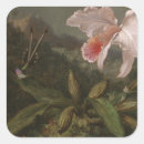 Search for naturalist stickers Nature