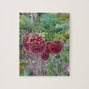 Search for onion puzzles Flowers