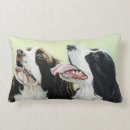 Search for english springer spaniel cushions Pet