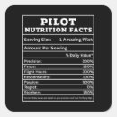 Search for airplane design stickers Aviation