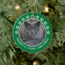 Search for cat in frame christmas tree decorations Cats