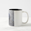 Search for tasmanian mugs Animals