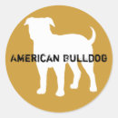 Search for american bulldog stickers Pets