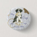 Search for border collie badges Puppy