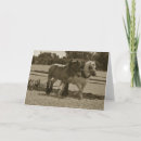 Search for plough cards Agriculture