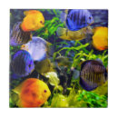 Search for aquatic tiles Tropical