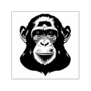 Search for primates rubber stamps Illustration