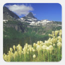 Search for glacier park stickers Chuck haney