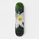 Search for lilie skateboards Bloom