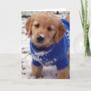 Search for retriever cards invites Country