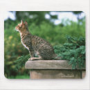 Search for two sided mousepads Horizontal