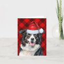 Search for border collie christmas cards Collies