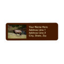Search for elk return address labels Animals