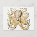 Search for mollusks postcards Illustration