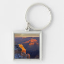 Search for medium key rings Cliff