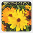 Search for floral thinking of you stickers For her