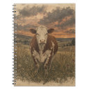 Search for cow notebooks Sunset