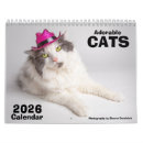 Search for funny animal calendars Cats