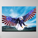 Search for flying eagle art Stars