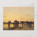 Search for watering hole postcards Charles