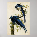 Search for john jay posters Jays