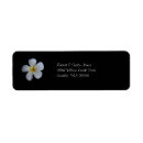 Search for plumeria return address labels Flowers