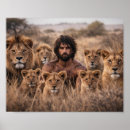 Search for lion pride posters Animal