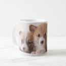 Search for cute corgi coffee mugs Puppy