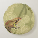 Search for dragonfly cushions Nature