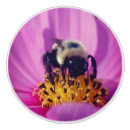 Search for bumble bee knobs and pulls Nature