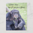 Search for cute chimpanzee postcards Humour
