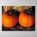 Search for vintage thanksgiving posters Pumpkins