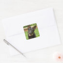 Search for dog park stickers German shepherd