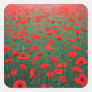 Search for field poppies stickers Landscape
