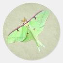 Search for luna moth stickers Nature