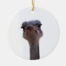 Search for ostrich christmas tree decorations Animal