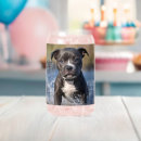Search for puppy beer glasses Pet
