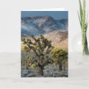 Search for judith cards Habitat