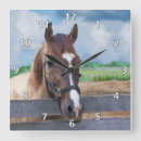 Search for halter Bridle