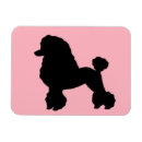 Search for 50 design magnets For her