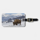 Search for environment luggage tags Wild