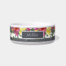 Search for pink cat bowls Dogs