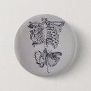 Search for caged badges Anatomy
