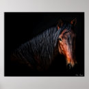 Search for animal portraits posters Horses