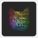 Search for funny british stickers Cute cat